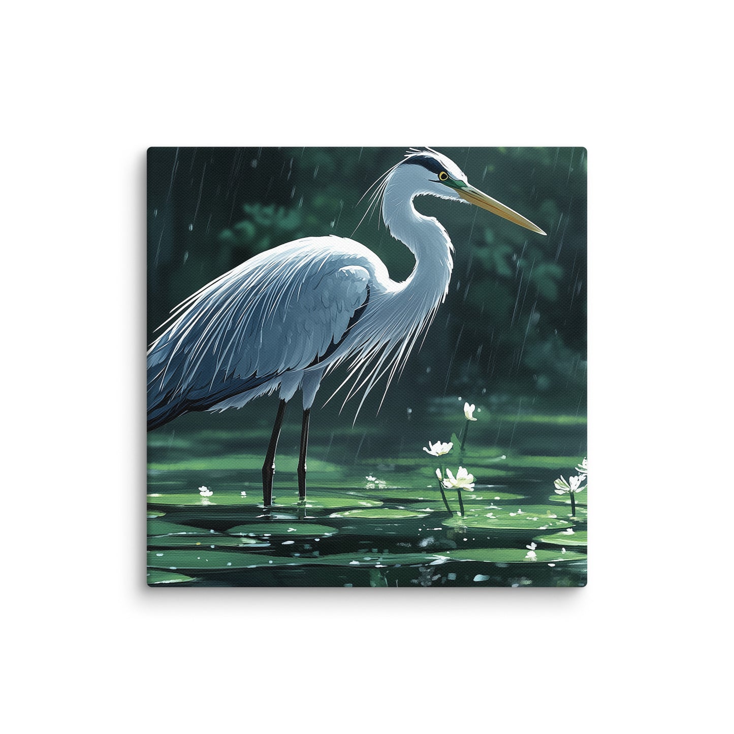 Heron Canvas