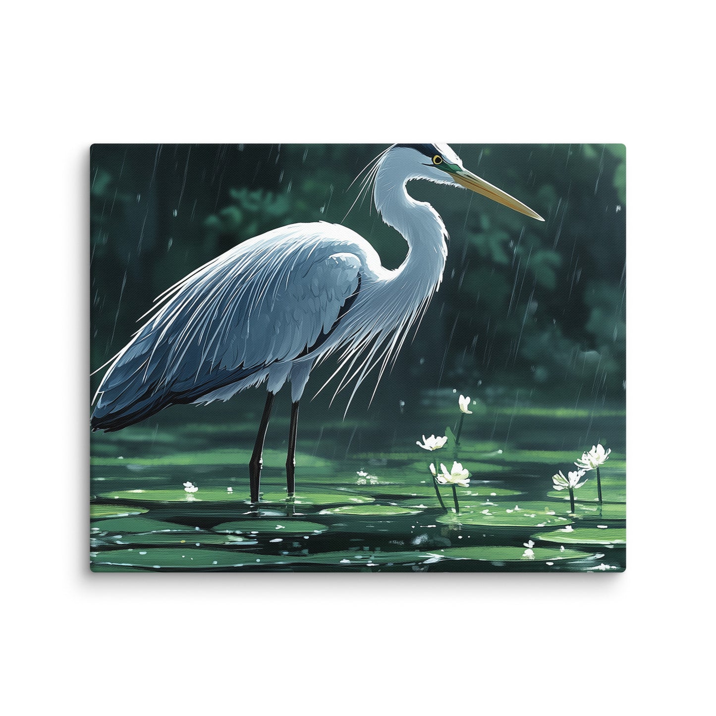 Heron Canvas