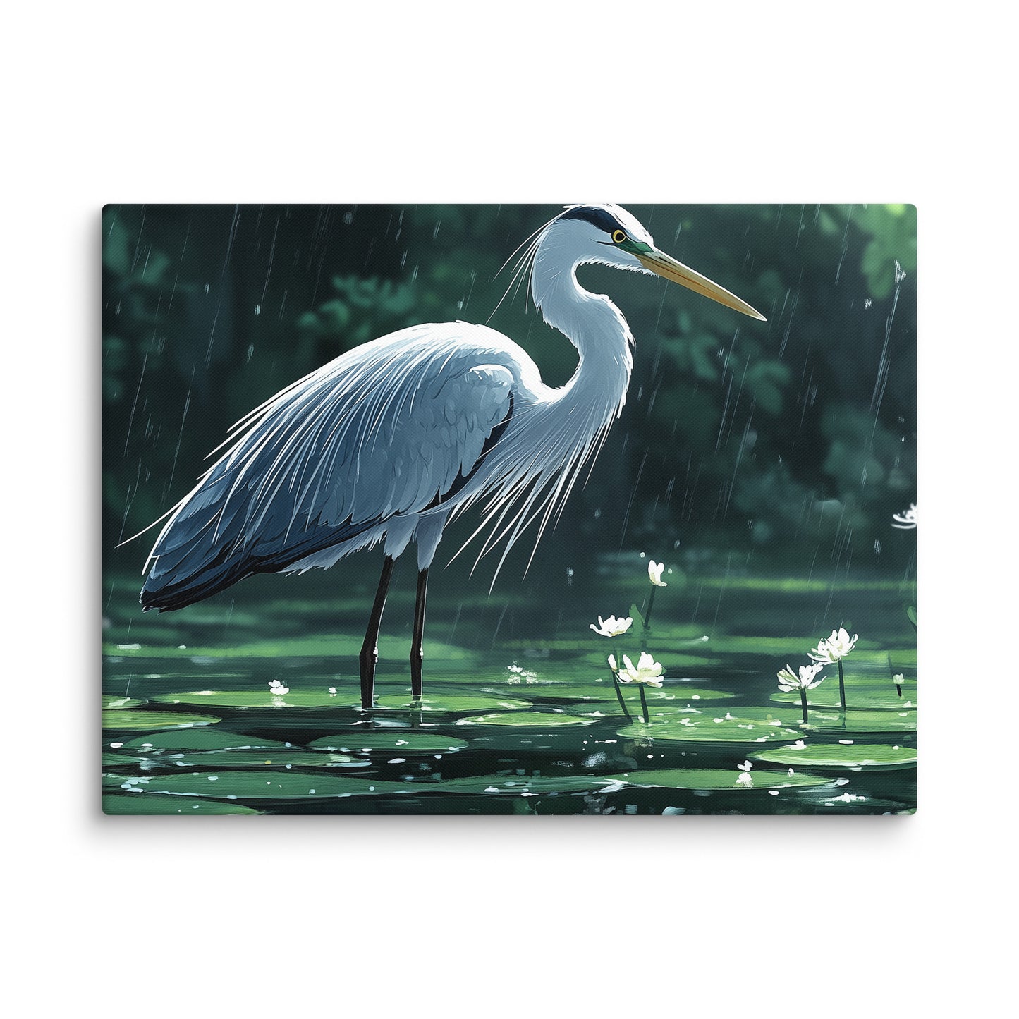 Heron Canvas