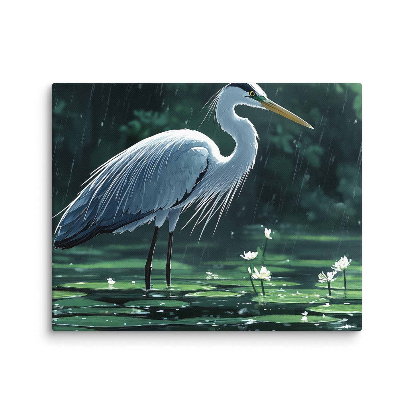 Heron Canvas