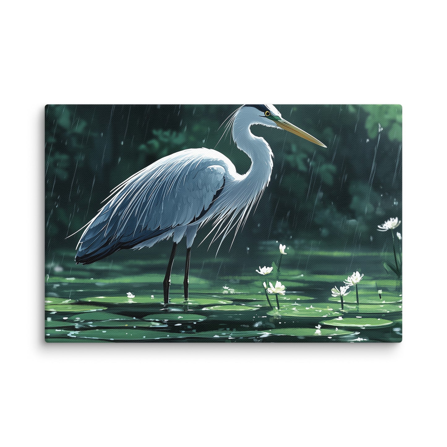 Heron Canvas