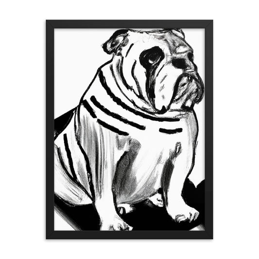 Bulldog Framed poster