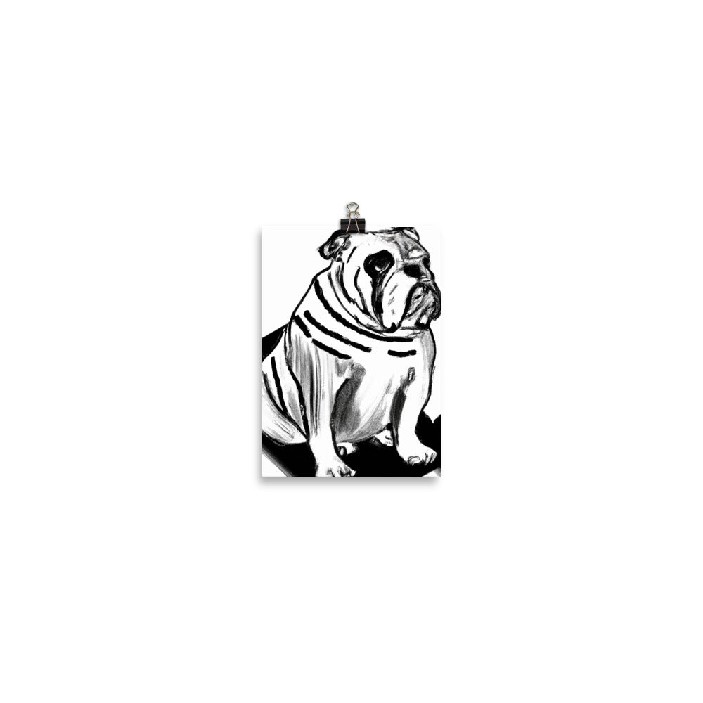 Bulldog Photo paper poster