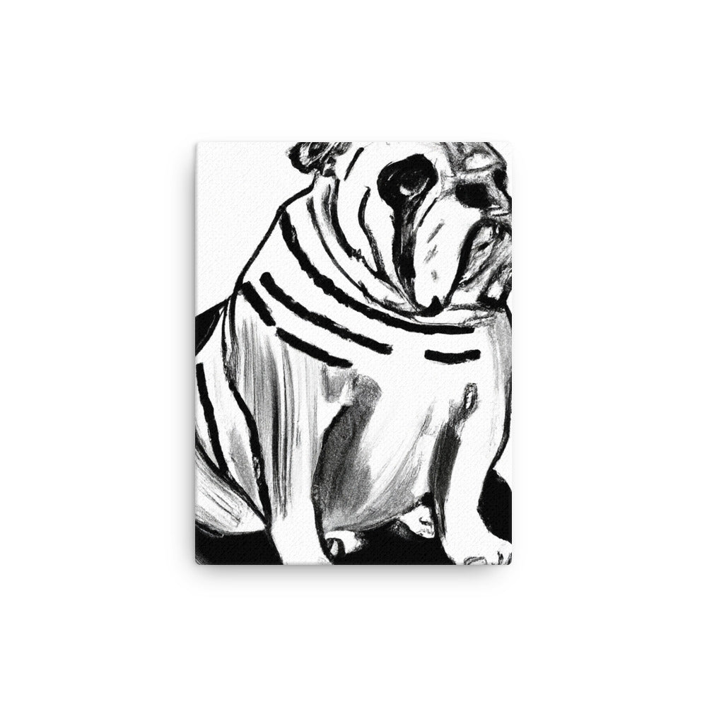 Bulldog Thin canvas